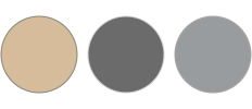 a tan, dark gray and gray circle in one horizontal row